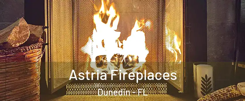  Astria Fireplaces Dunedin - FL
