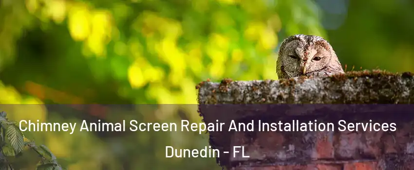  Chimney Animal Screen Repair And Installation Services Dunedin - FL