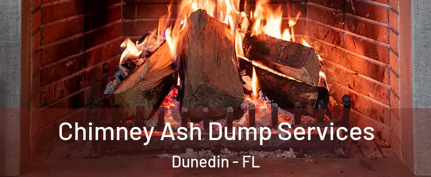 Chimney Ash Dump Services Dunedin - FL