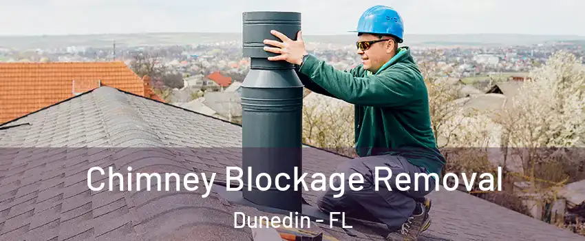  Chimney Blockage Removal Dunedin - FL