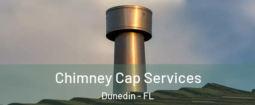  Chimney Cap Services Dunedin - FL