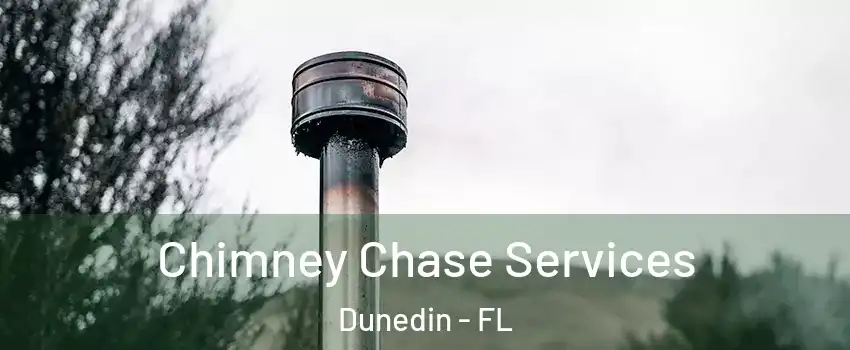  Chimney Chase Services Dunedin - FL