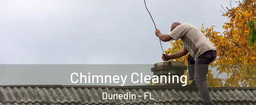  Chimney Cleaning Dunedin - FL