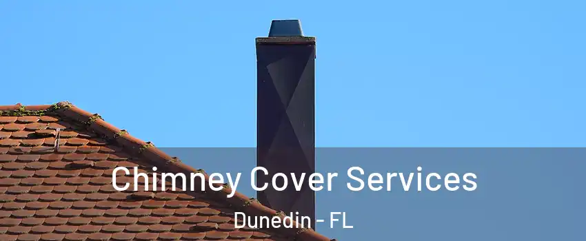  Chimney Cover Services Dunedin - FL