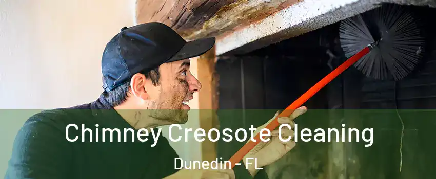  Chimney Creosote Cleaning Dunedin - FL