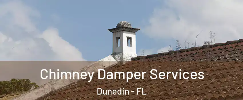  Chimney Damper Services Dunedin - FL