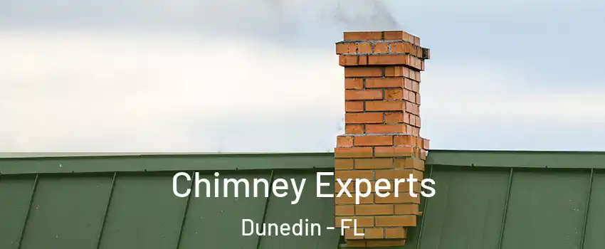 Chimney Experts Dunedin - FL