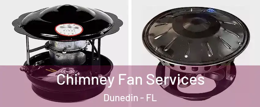  Chimney Fan Services Dunedin - FL