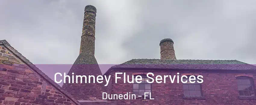  Chimney Flue Services Dunedin - FL