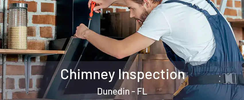  Chimney Inspection Dunedin - FL