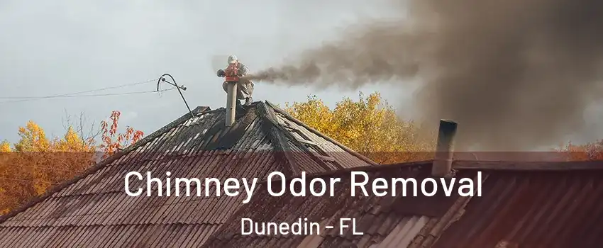  Chimney Odor Removal Dunedin - FL