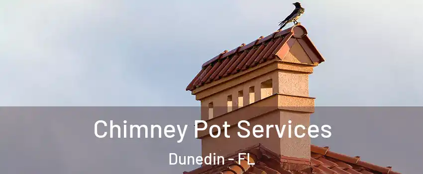  Chimney Pot Services Dunedin - FL
