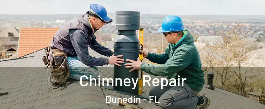  Chimney Repair Dunedin - FL