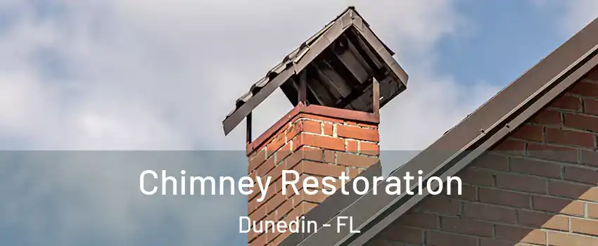  Chimney Restoration Dunedin - FL