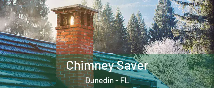  Chimney Saver Dunedin - FL