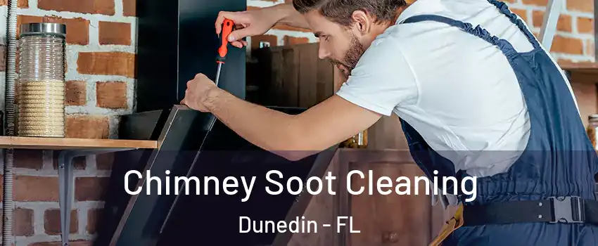  Chimney Soot Cleaning Dunedin - FL