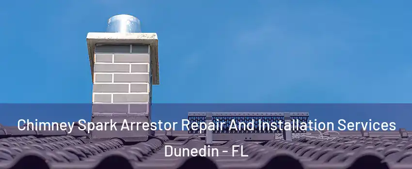  Chimney Spark Arrestor Repair And Installation Services Dunedin - FL