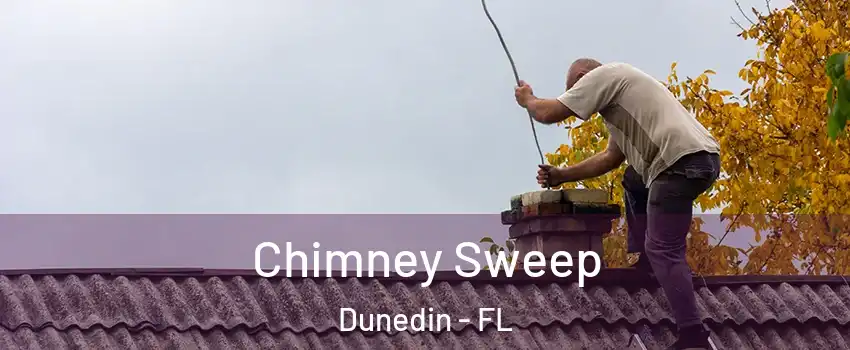  Chimney Sweep Dunedin - FL