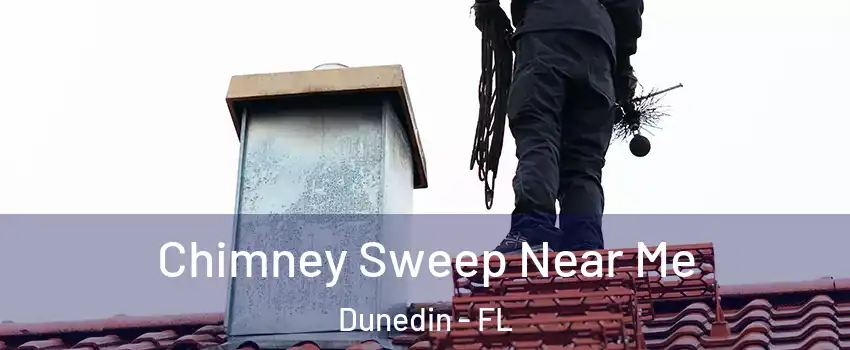  Chimney Sweep Near Me Dunedin - FL