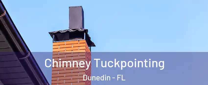  Chimney Tuckpointing Dunedin - FL