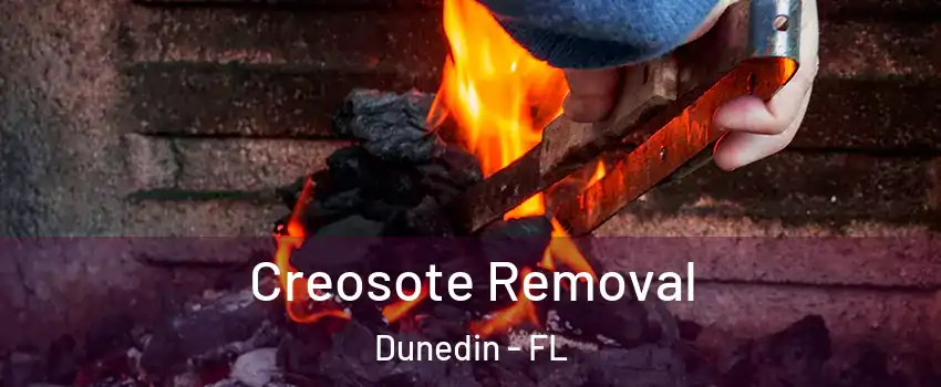  Creosote Removal Dunedin - FL
