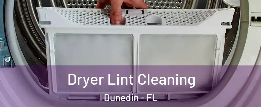  Dryer Lint Cleaning Dunedin - FL