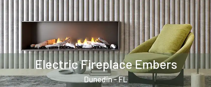  Electric Fireplace Embers Dunedin - FL