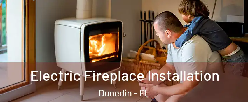  Electric Fireplace Installation Dunedin - FL