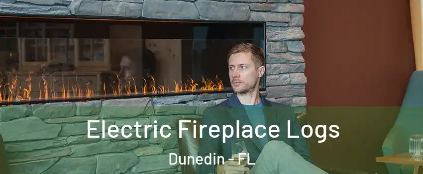  Electric Fireplace Logs Dunedin - FL