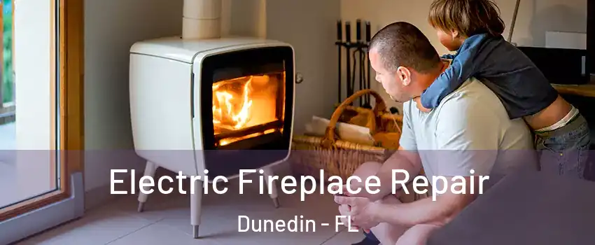  Electric Fireplace Repair Dunedin - FL