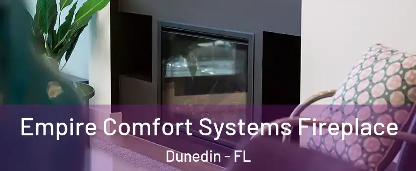  Empire Comfort Systems Fireplace Dunedin - FL