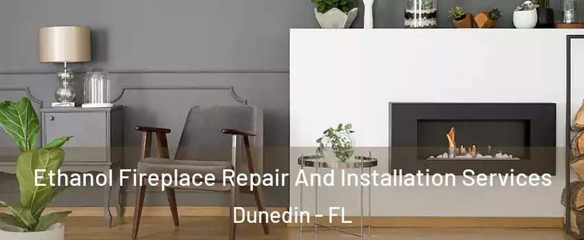  Ethanol Fireplace Repair And Installation Services Dunedin - FL