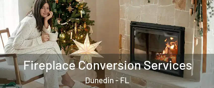  Fireplace Conversion Services Dunedin - FL