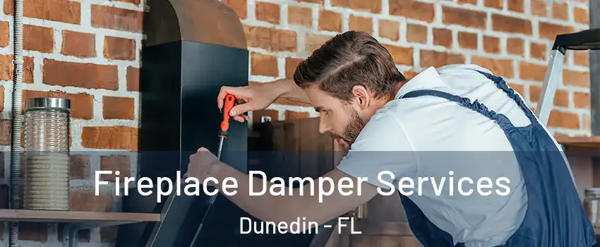  Fireplace Damper Services Dunedin - FL