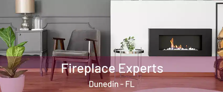  Fireplace Experts Dunedin - FL