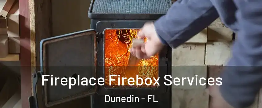  Fireplace Firebox Services Dunedin - FL