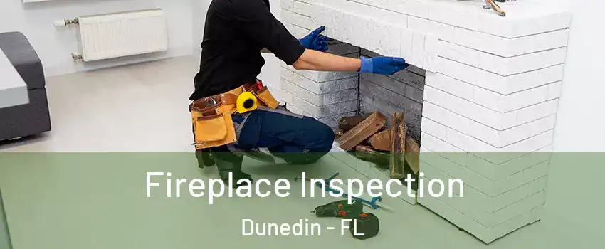  Fireplace Inspection Dunedin - FL