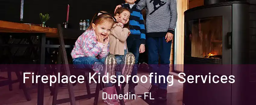  Fireplace Kidsproofing Services Dunedin - FL