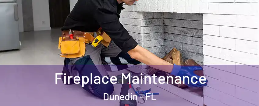  Fireplace Maintenance Dunedin - FL