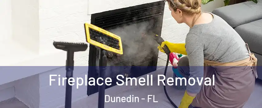  Fireplace Smell Removal Dunedin - FL