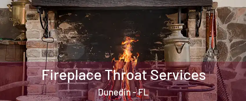  Fireplace Throat Services Dunedin - FL