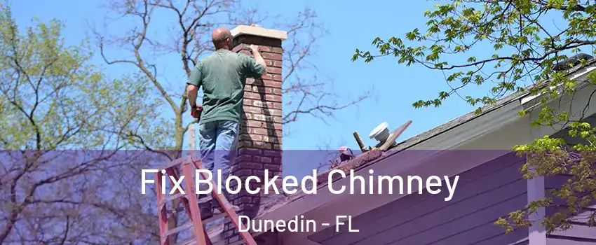  Fix Blocked Chimney Dunedin - FL