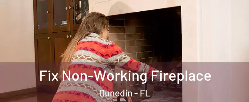  Fix Non-Working Fireplace Dunedin - FL