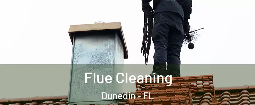  Flue Cleaning Dunedin - FL