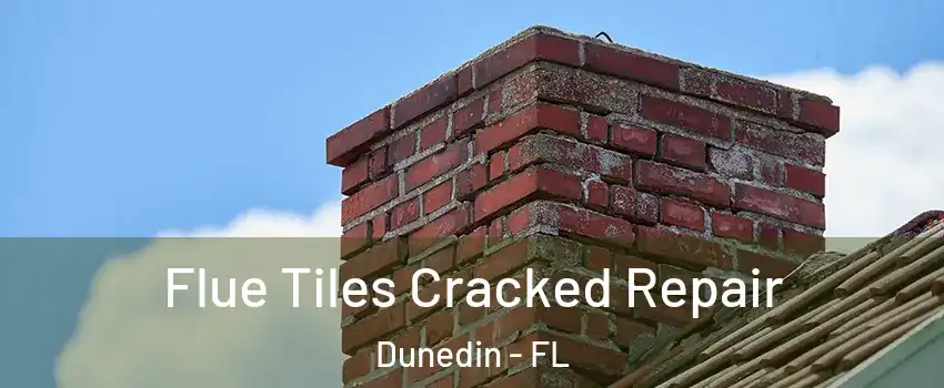  Flue Tiles Cracked Repair Dunedin - FL