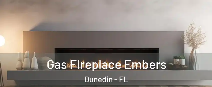 Gas Fireplace Embers Dunedin - FL