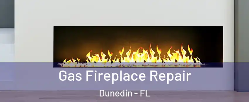 Gas Fireplace Repair Dunedin - FL