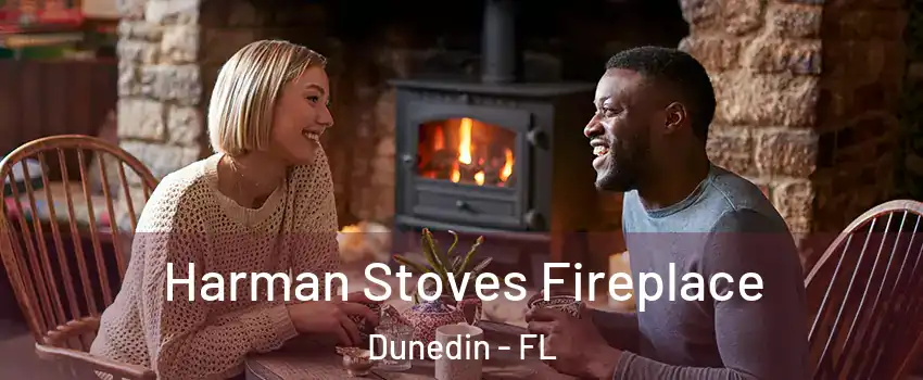  Harman Stoves Fireplace Dunedin - FL