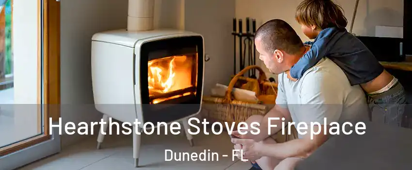  Hearthstone Stoves Fireplace Dunedin - FL