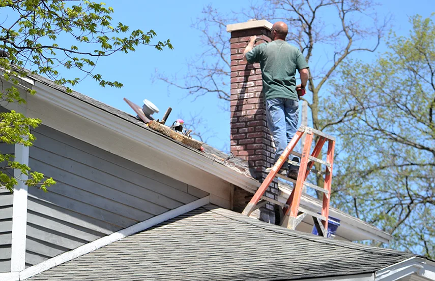 Chimney & Fireplace Inspections Services in Dunedin, FL